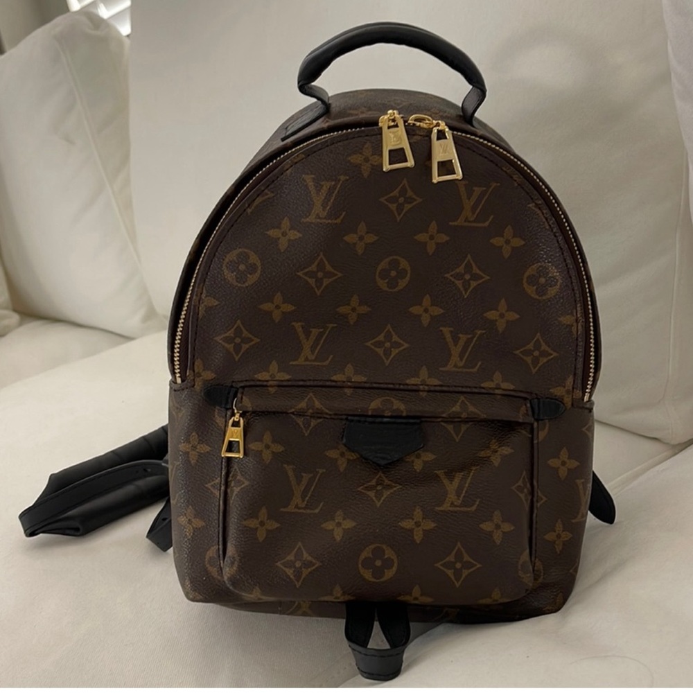 Louis Vuitton Palm Springs Backpack PM